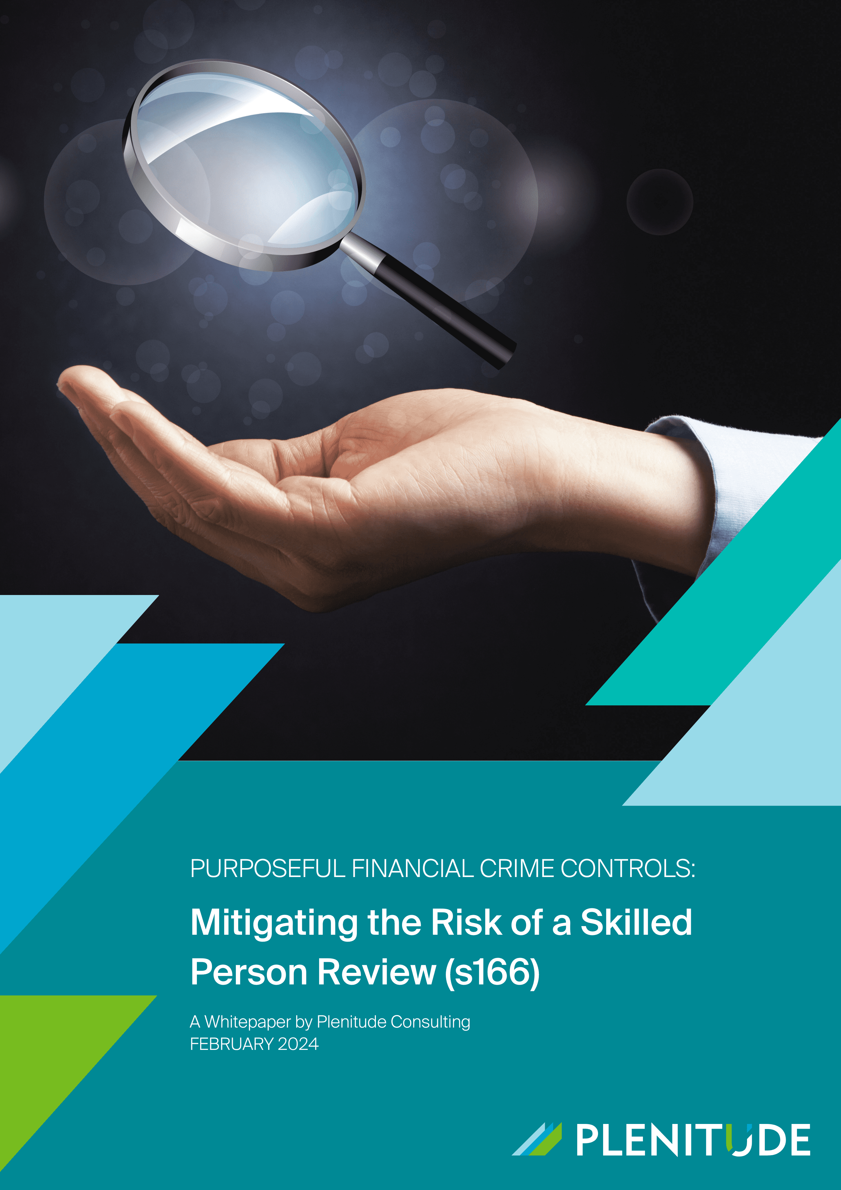 cover page of paper 'Purposeful controls' professional holding magnifying glass